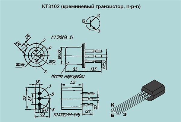 3102