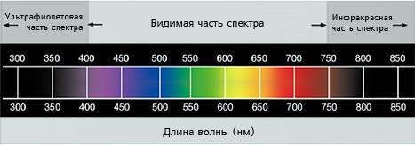 Красный световой луч с длиной волны 700. Длина волны цвета. Цветовая шкала спектр света. Ультрафиолетовая (УФ), видимая и инфракрасная (ИК) области спектра. Длины волн цветов.