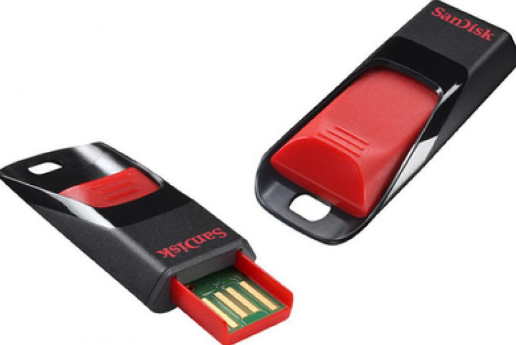 USB накопитель 8GB PERFEO C04 Red Lion (PF-C04RL008)