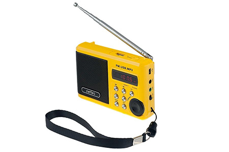 Радиоприемник PERFEO Dual Band Sound Ranger PF-SV922YL