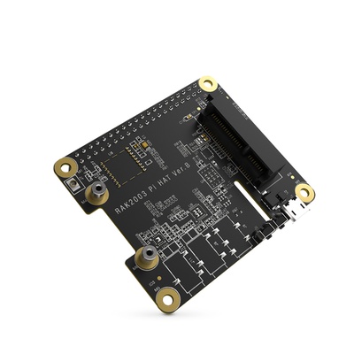    Raspberry Pi WisHat RAK2287 Pi HAT.     WisLink RAK2287  RPi.  40-  GPIO   PCIe. : RPi 3B+/4B. : 5. : 65*55*18. : 22.7