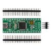 STM8, STM32:      STM32F401CCU6 () Green Pill,  , ,     Type-C