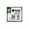 WisDuo ������ �� ���� ���������� LoRa: RAK3172-T � ����������������� �������� �0.5ppm WisDuo ������ LoRaWAN EU868 IPEX SMD