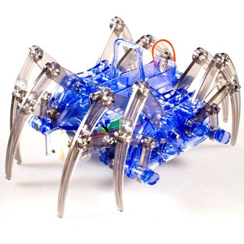    Robotic Spider platform