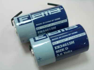       ER34615M-FT 3.6V