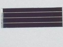,   :   10  x 31 