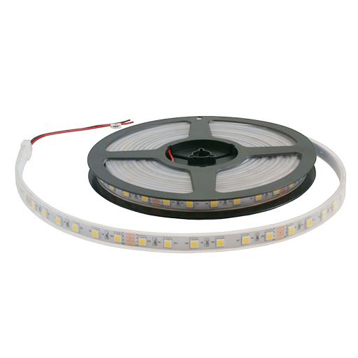   12V 5050 NW 60 ./ 14.4W IP-68 / /