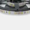  , :   12V 5730 CW 60 ./ 14.4W IP-33 / /