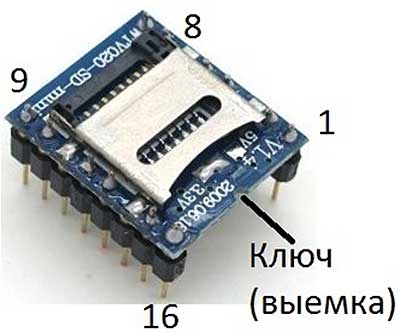  MP3  c micro-SD (TF) 