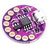 ,   ARDUINO, UNO, Mega, Leonardo, Mini, NANO, DUE, Micro:  RC0160. LilyTiny LilyPad  Arduino.