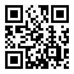   601381100040
