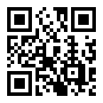   micro SDXC 128GB PERFEO class10 ( SD)