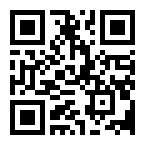 ����������� ������ 2pin BP*3 L=40 D=13mm 2*0.3mm2