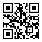 ����������� ������ 2pin WP L=40 D=13mm 2*0.3mm2