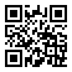 ������ ��� RC ������� JST switch ext. leads 22AWG 10