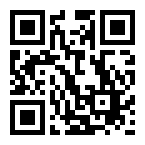 ������ ������� ���������� SZC-0030a / 5.5*2.1*14 mm